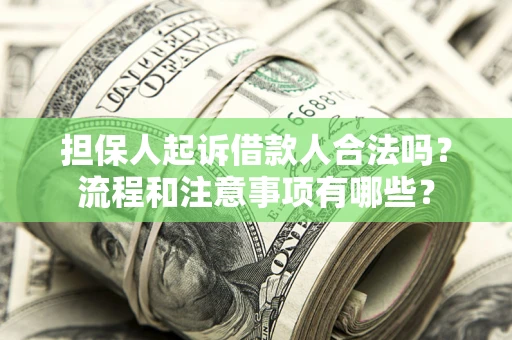 济南担保人起诉借款人合法吗？流程和注意事项有哪些？