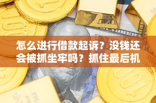 济南怎么进行借款起诉？没钱还会被抓坐牢吗？抓住最后机会！
