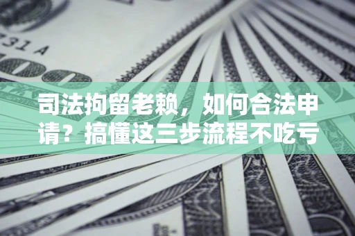 济南司法拘留老赖，如何合法申请？搞懂这三步流程不吃亏！