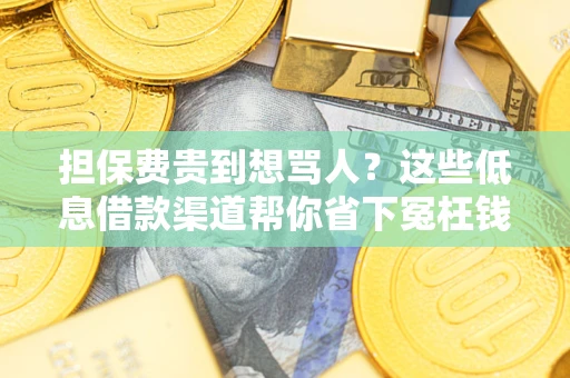 济南担保费贵到想骂人？这些低息借款渠道帮你省下冤枉钱