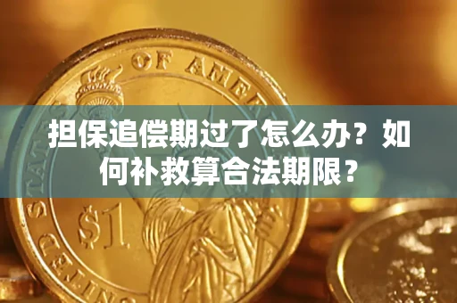 济南担保追偿期过了怎么办？如何补救算合法期限？
